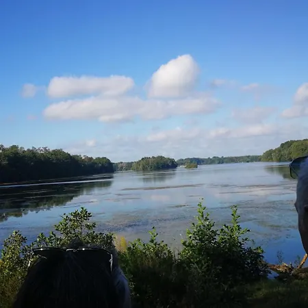 Pinienblick 公寓 *