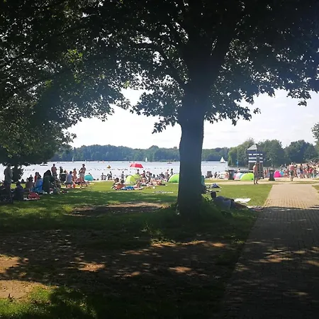 Pinienblick